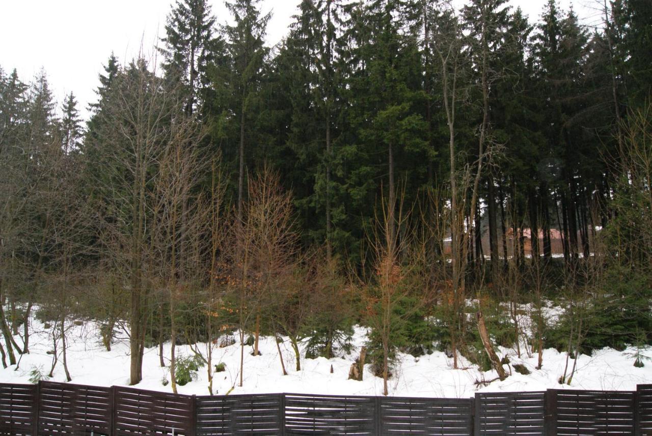 Fewo Adler 2-6 Personen Braunlage Exterior foto